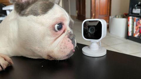 Blink Mini Security Camera