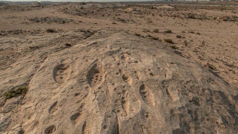 <strong>Observation skills: </strong>"These carvings represent a high degree of creativity and observation skills  the artists who made them," says Ferhan Sakal, head of excavation and site management at Qatar Museums. 