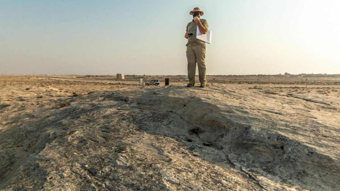 The area contains about 900 carvings. 