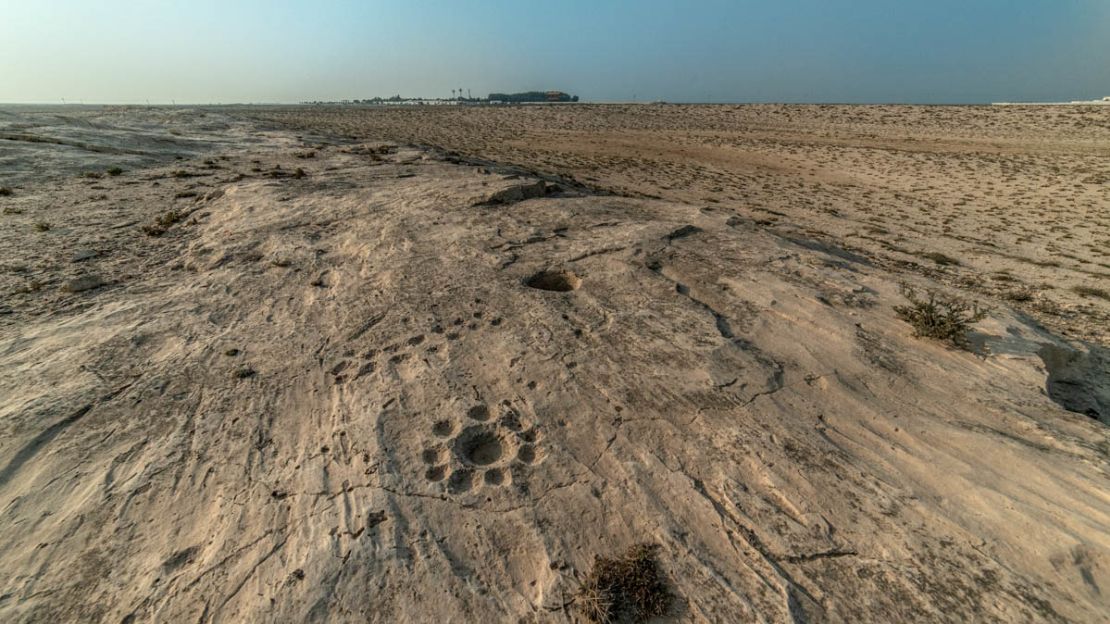 Experts say the rock carvings at Al Jassasiya are unique to the location.