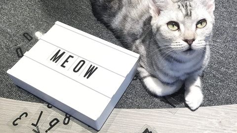 21 Gifts That’ll Win Over Even The Pickiest Teen My Cinema Lightbox Mini Lightbox