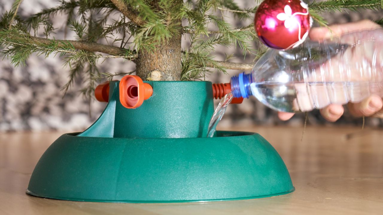 "Water your real Christmas tree if you get one."