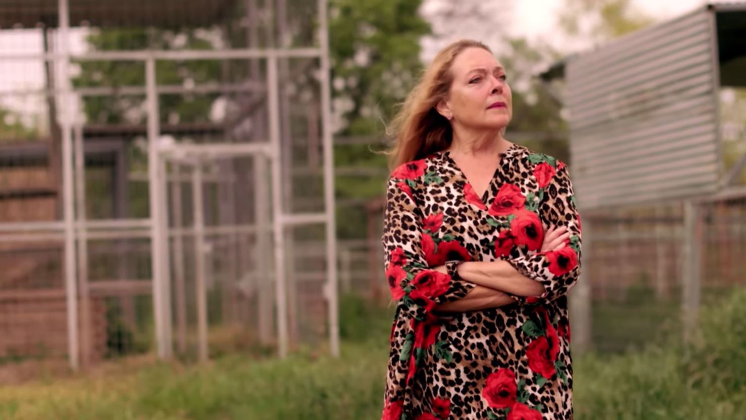 Carole Baskin is continuing her battle to protect big cats in "Carole Baskin's Cage Fight." 