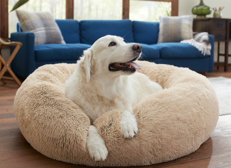 Self warming pet outlet bed petsmart