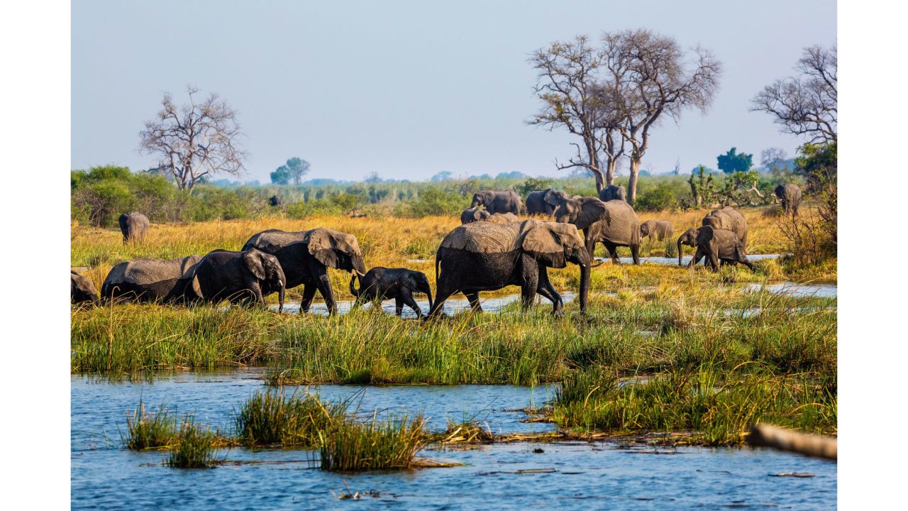 <strong>Nature:</strong> Namibia's Caprivi Strip is an up-and-coming safari destination. 
