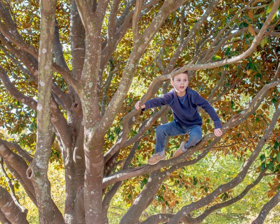 Many of Berridge's photos were taken in nature, like this image of her subject Joshua climbing a tree.