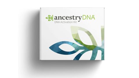 211118142513-walmart-ancestry