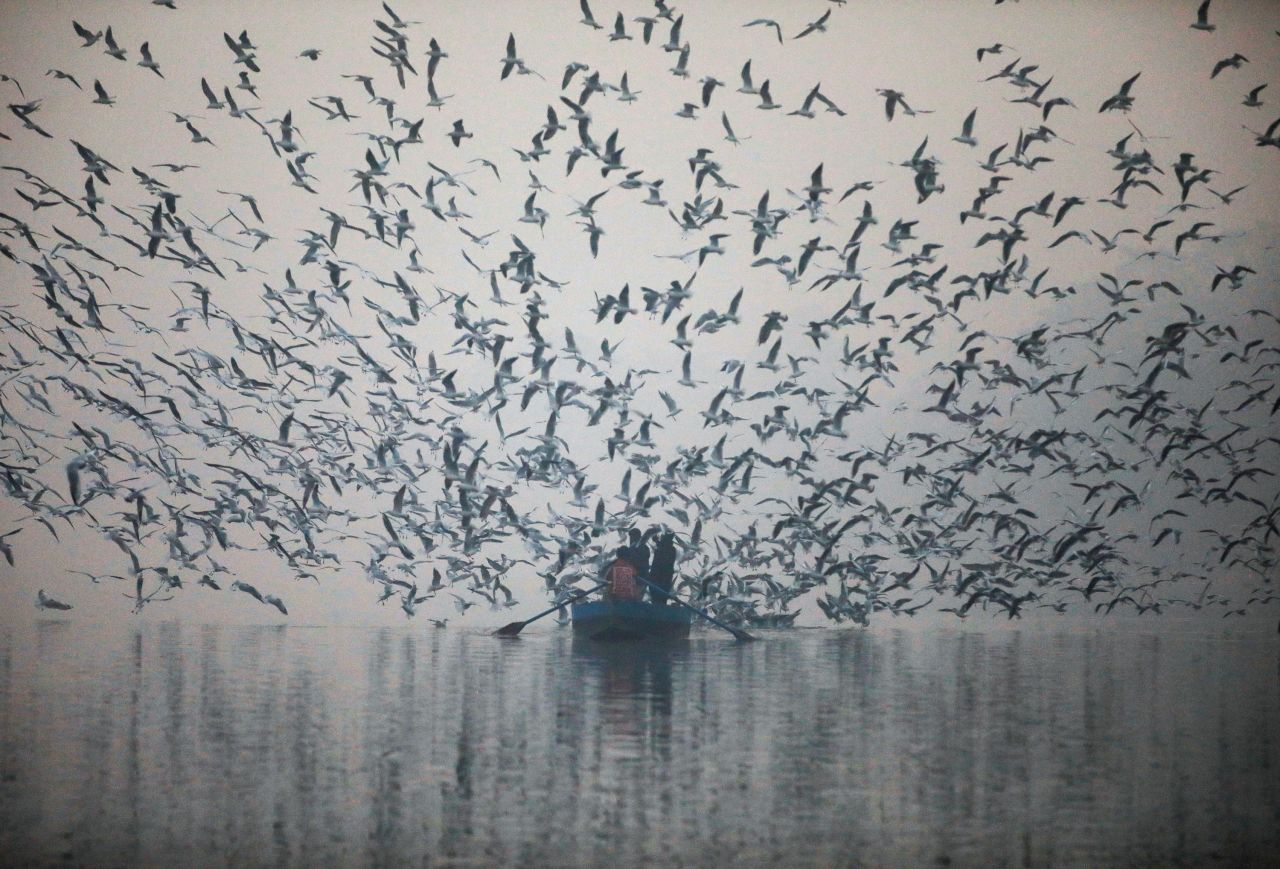 People feed seagulls in the Yamuna River on a smoggy morning in New Delhi on Thursday, November 18.