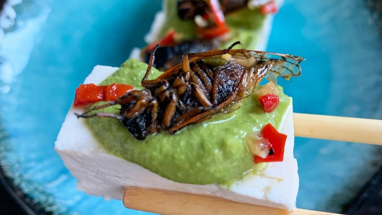 Cicada and tofu, with cricket green goddess dressing.