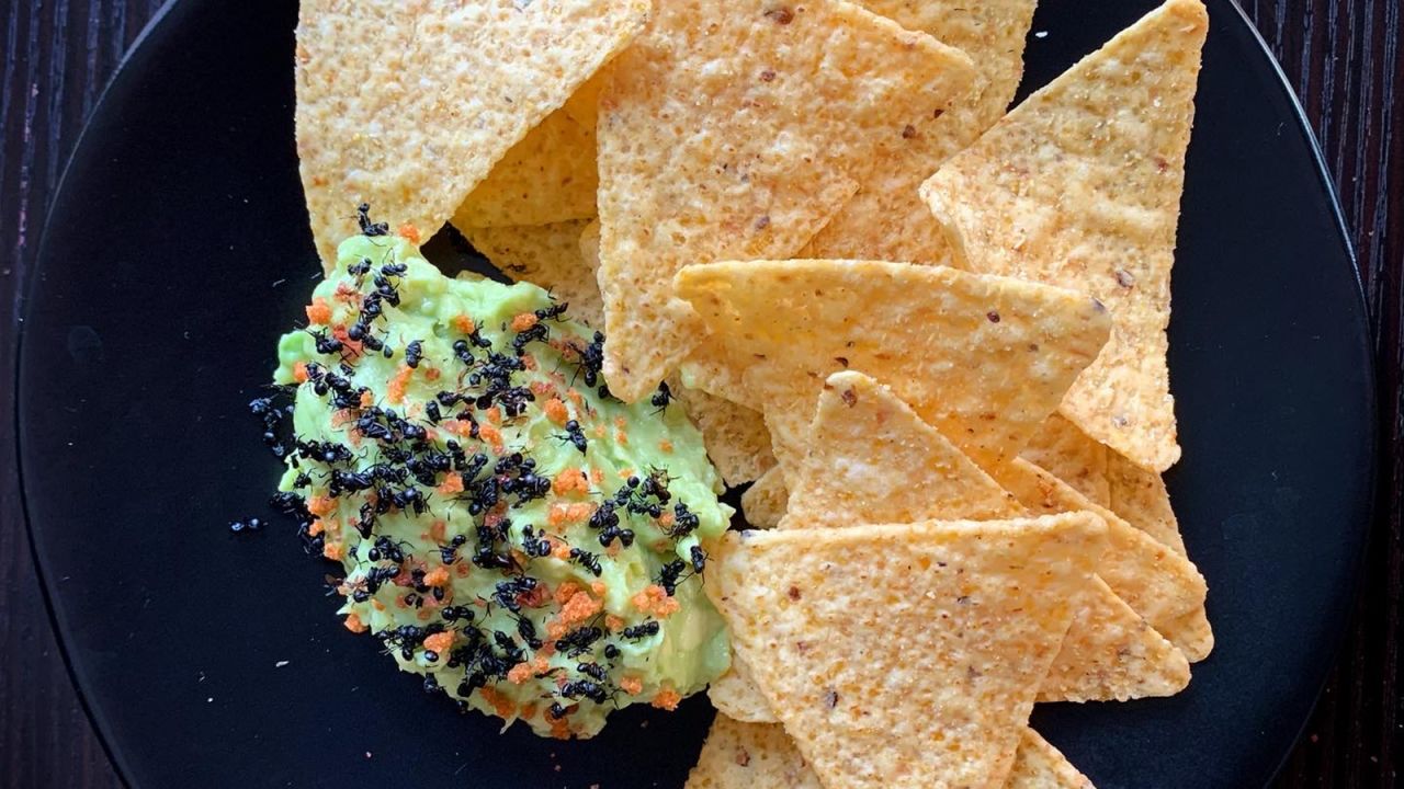 "There are over 2,000 types of edible insects with wildly different flavor profiles, textures, and functionality," says Yoon. Pictured, black ant guacamole.