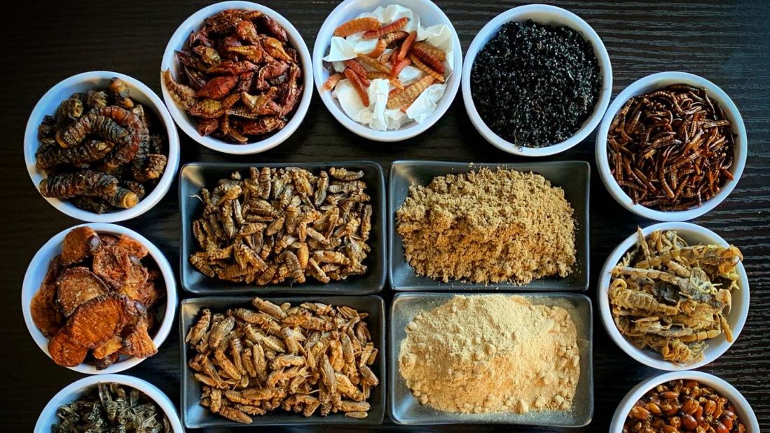 A selection of whole and powdered insects from Yoon's pantry.