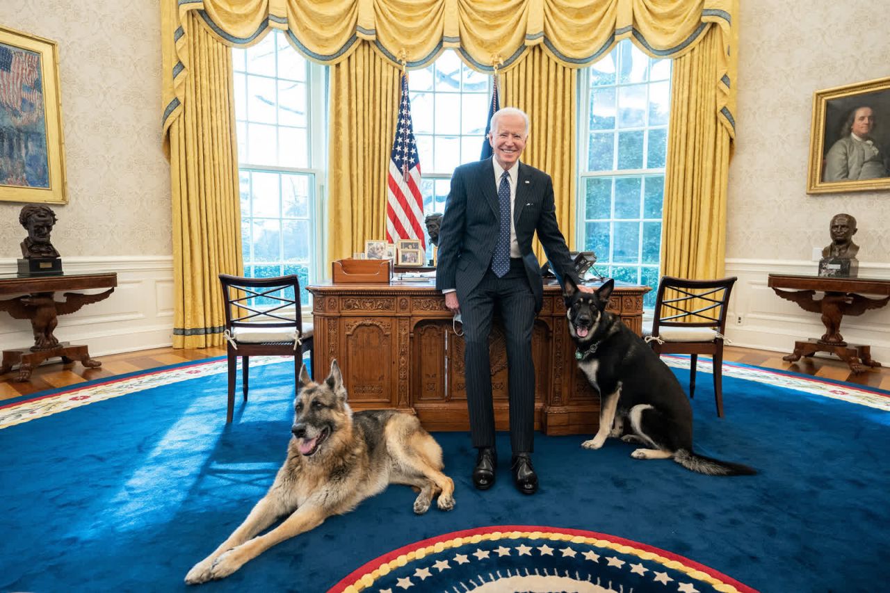 Biden poses with his dogs, Champ and Major, in the Oval Office in February 2021. The German shepherds marked a return to a <a href=