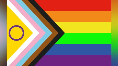 The Pride Progress flag updated by Valentino Vecchietti to include representation for the intersex community.