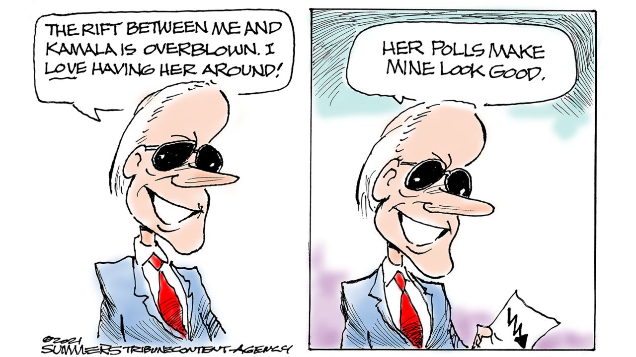 03 opinion newsletter cartoons 1120