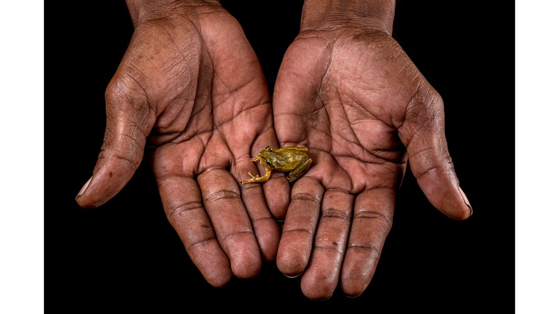 While Spanish photographer Javier Lobón-Rovira was on a scientific expedition to survey amphibians in Madagascar, a local farmer called his attention to a small, green frog that he held in his hands. The frog, a "boophis doulioti" from the Malagasy frog family, is endemic to Madagascar.