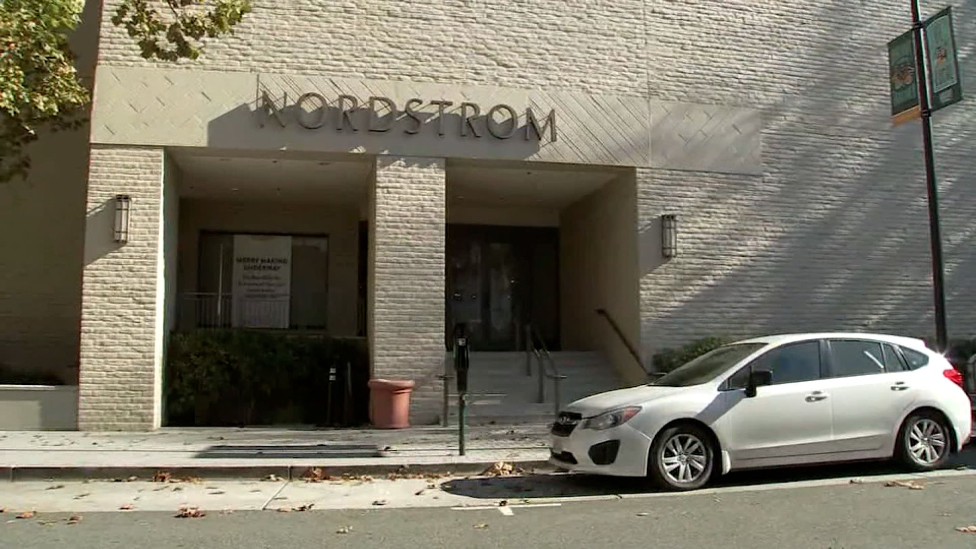 Gang of 80 thieves ransacks California Nordstrom store in