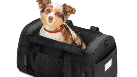 Away The Pet Carrier