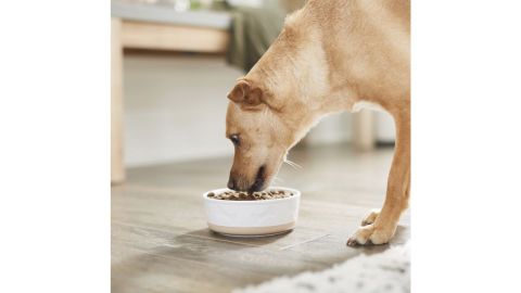 Frisco Bones non-slip ceramic bowl for dogs and cats