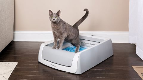 Free self-cleaning litter box for PetSafe