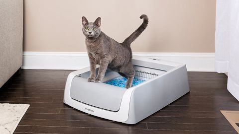 PetSafe ScoopFree Self-Cleaning Litter Box