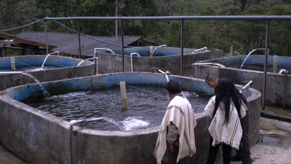 The trout farm in Tacueyó.