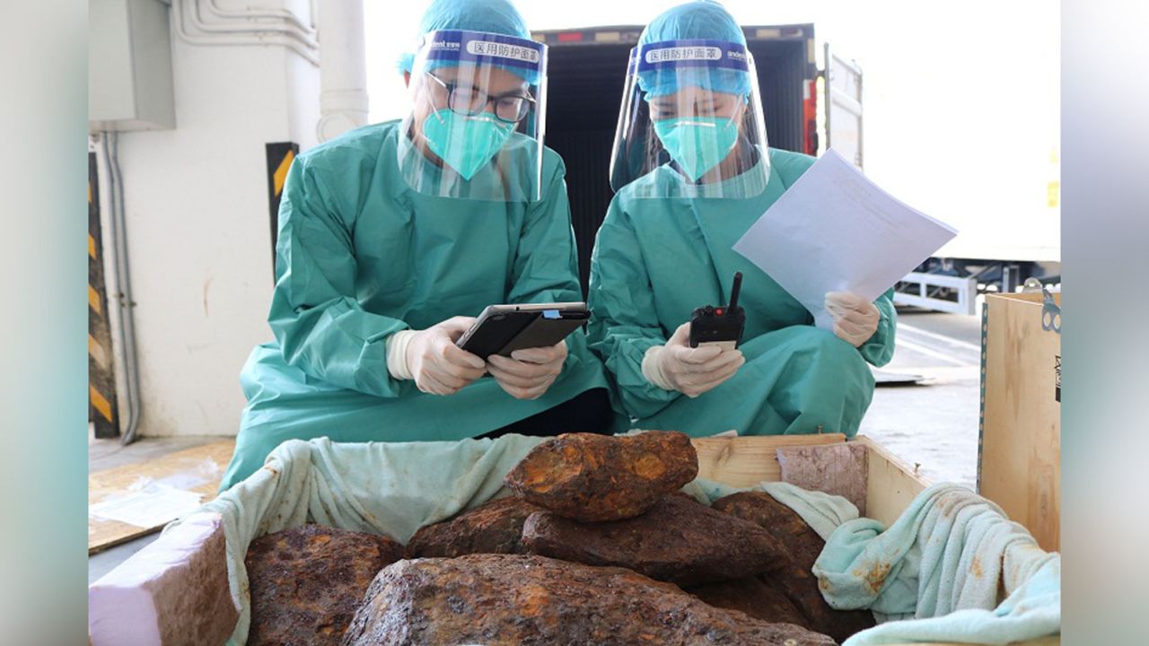 Customs officers pictured inspecting the meteorites.