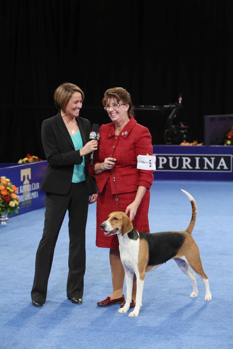 Purina national sale dog show 2018