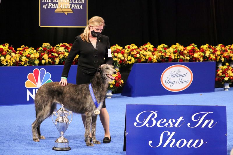 what is the national dog of canada