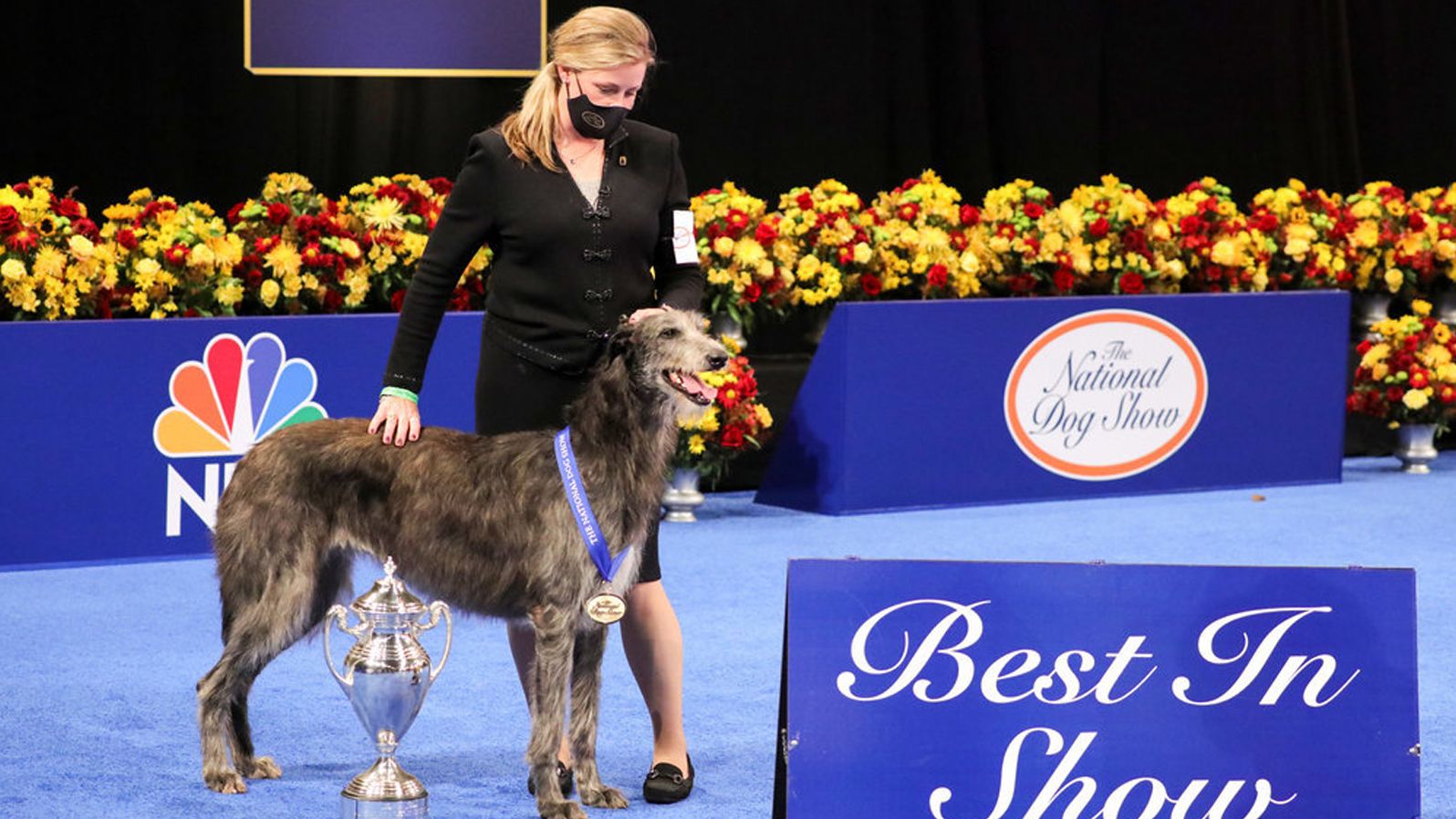 Revisit these BestinShow Winners just in time for the National Dog