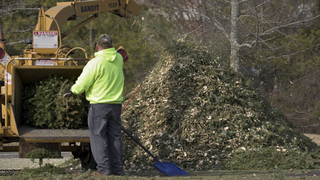Municipal workers grind Christmas trees from the past holiday season in a wood-chipper at a community park in Warminster, PA, in February 2019.