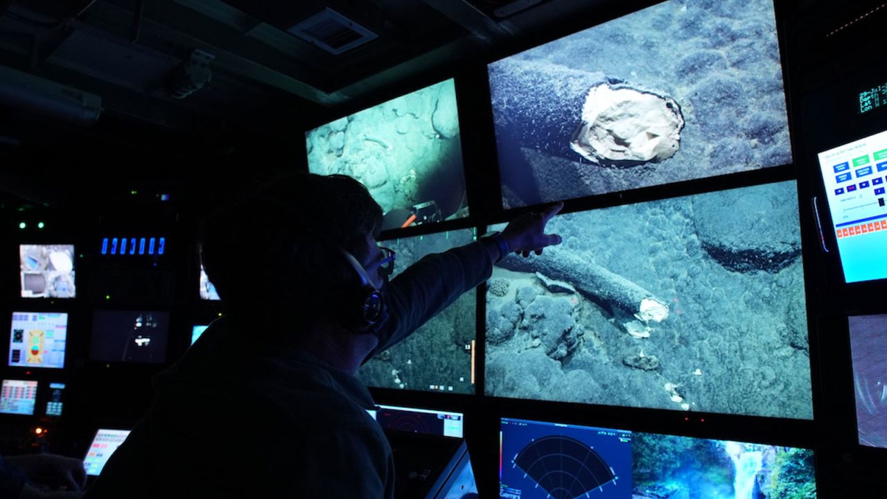 MBARI Senior Scientist Steven Haddock and the science team observe the internal structure of the tusk.