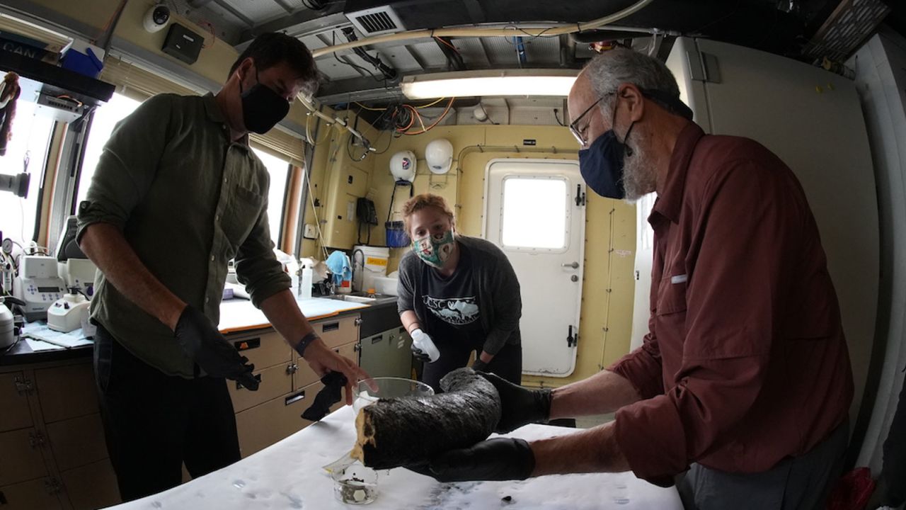 MBARI Senior Scientist Steven Haddock (left), UC Santa Cruz postdoctoral researcher Katie Moon (center), and University of Michigan paleontologist Daniel Fisher (right) prepare to clean the large tusk piece in the ship's laboratory. 