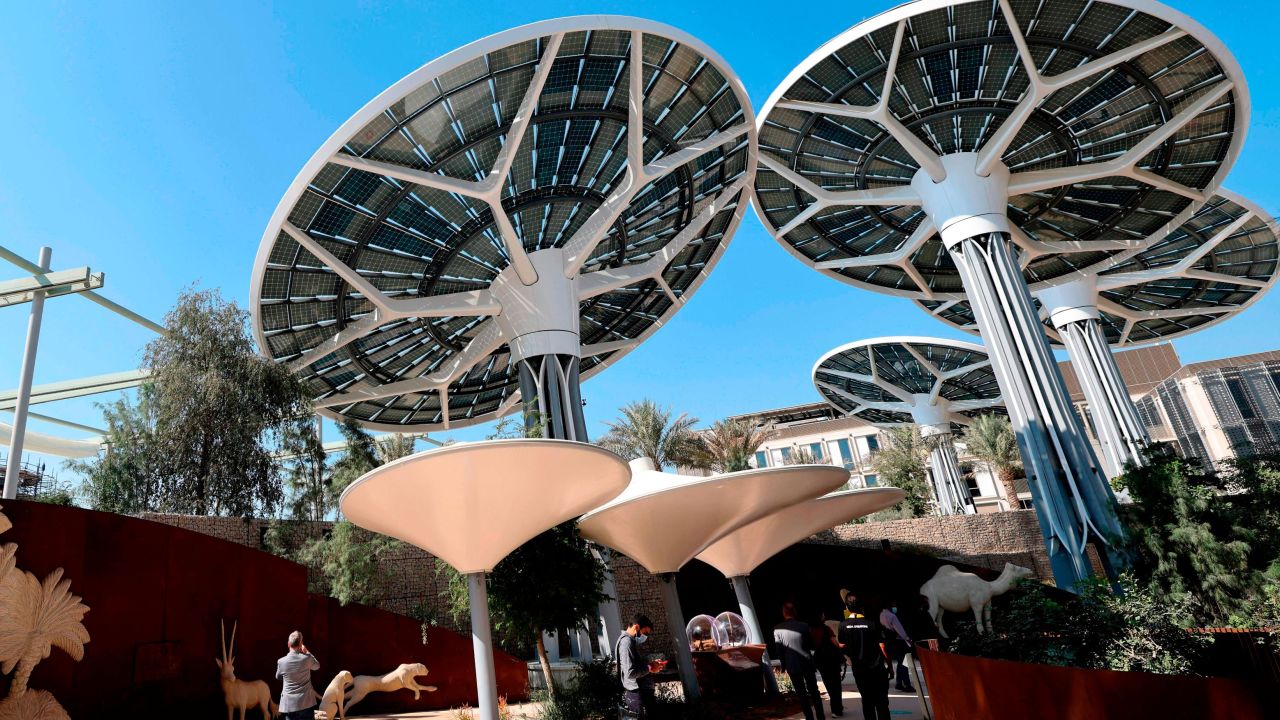 "Energy Trees" surround the  Sustainability Pavilion.