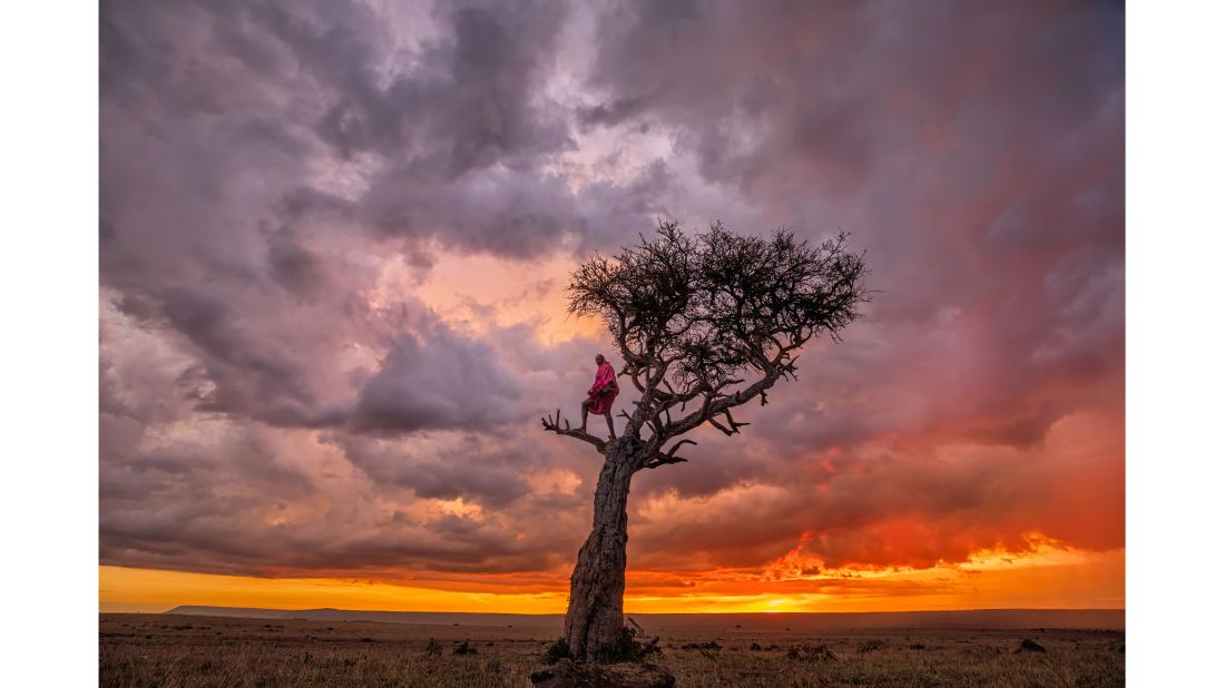 A private reserve of over 27,500 hectares, the Mara North Conservancy is a non-profit which partners tourism operators with over 900 Maasai landowners. Spending much of his time in this part of Kenya, British wildlife photographer and safari camp owner Paul Goldstein captured this shot of a safari guide in a tree, overlooking the Maasai Mara ecosystem. 