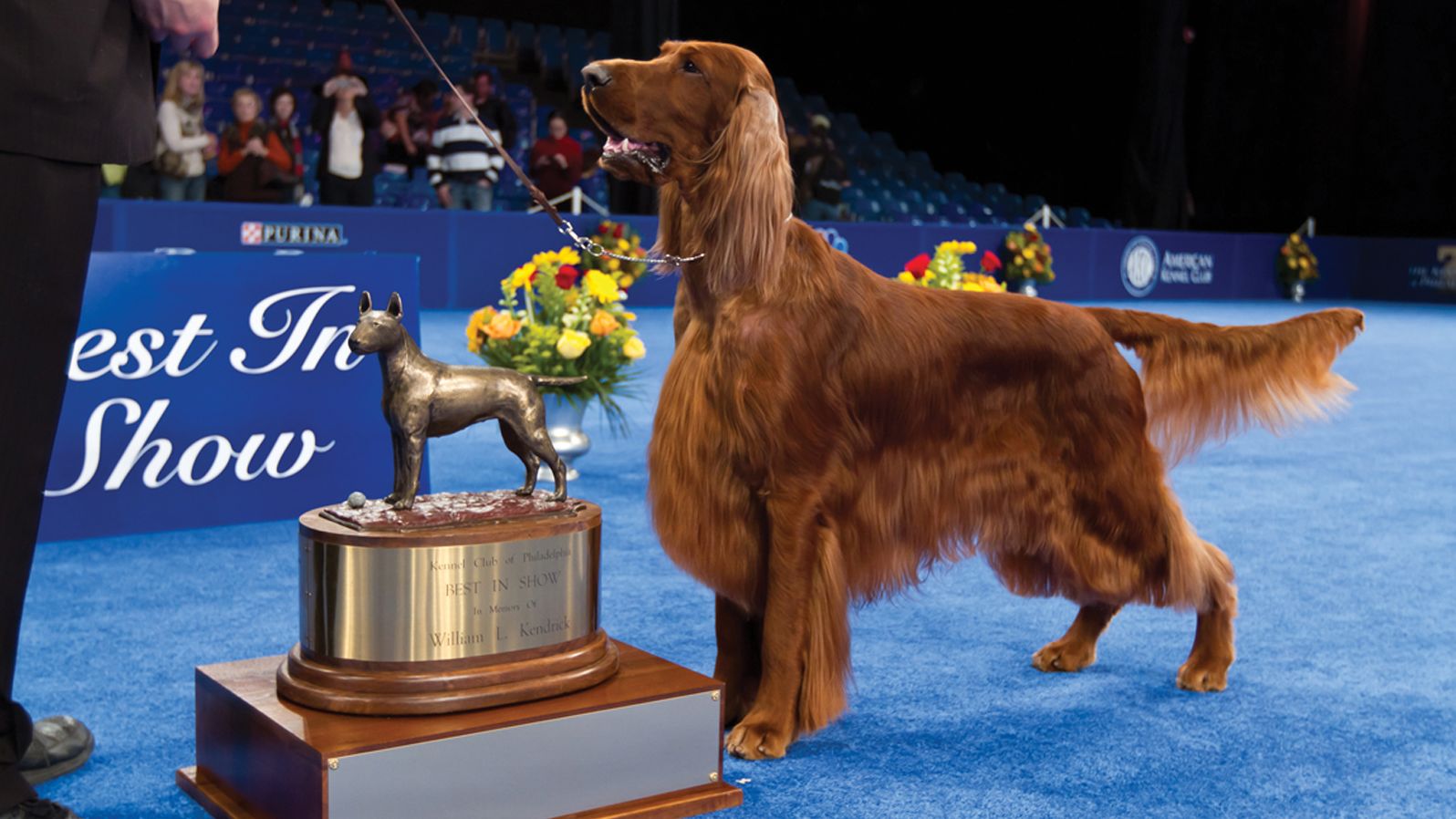 Revisit these BestinShow Winners just in time for the National Dog