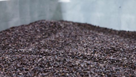 Atomo Coffee's CEO says the roasted date pits look and smell like real coffee beans.