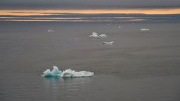 Icebergs in the Arctic Ocean off the Franz Josef Land archipelago on August 16, 2021.