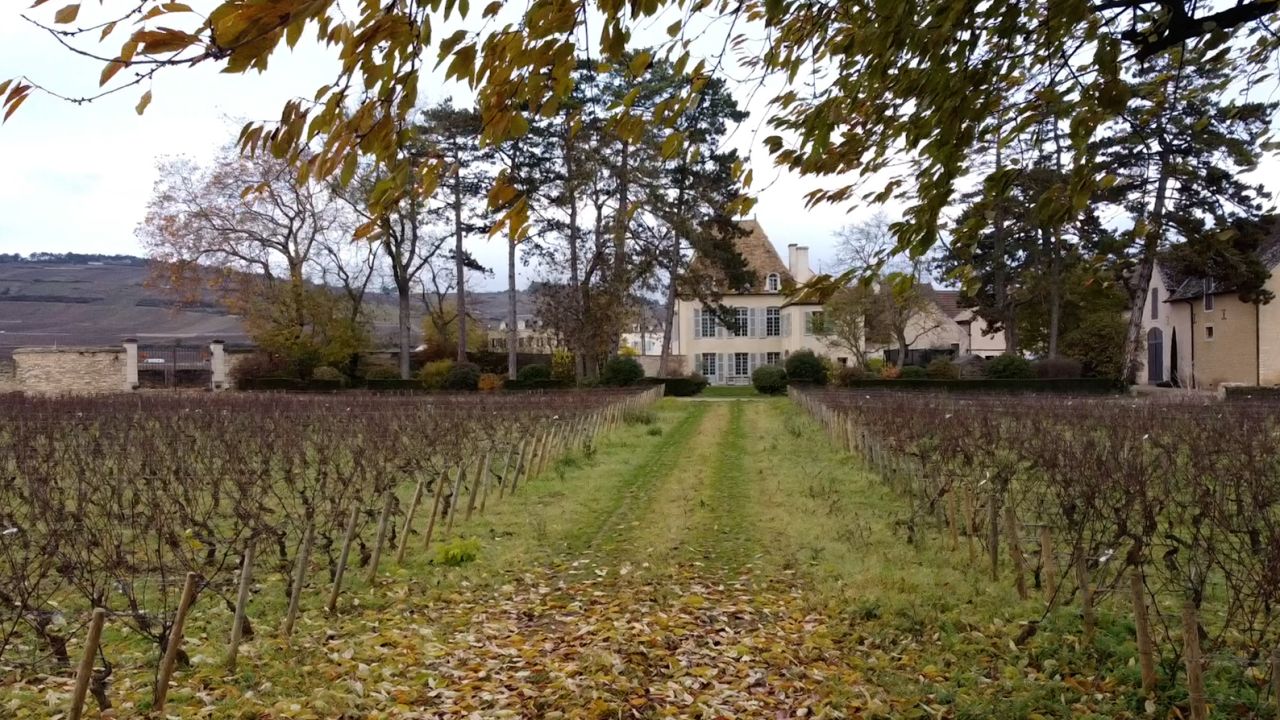 Three nights of frosts are said to have cost the Burgundy region €1 billion.