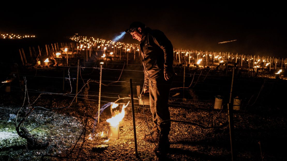 Burgundy winemakers used candles to try to protect their vines during April's freeze.