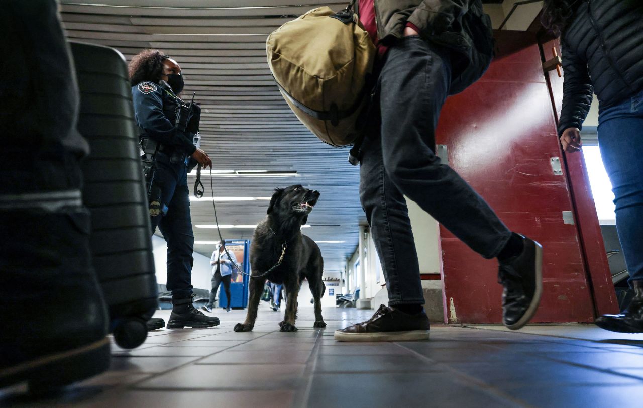 Ascha, an Amtrak explosive detection dog, checks arriving passengers with K-9 Police handler Ashlee Fisher at Union Station in Washington, DC.