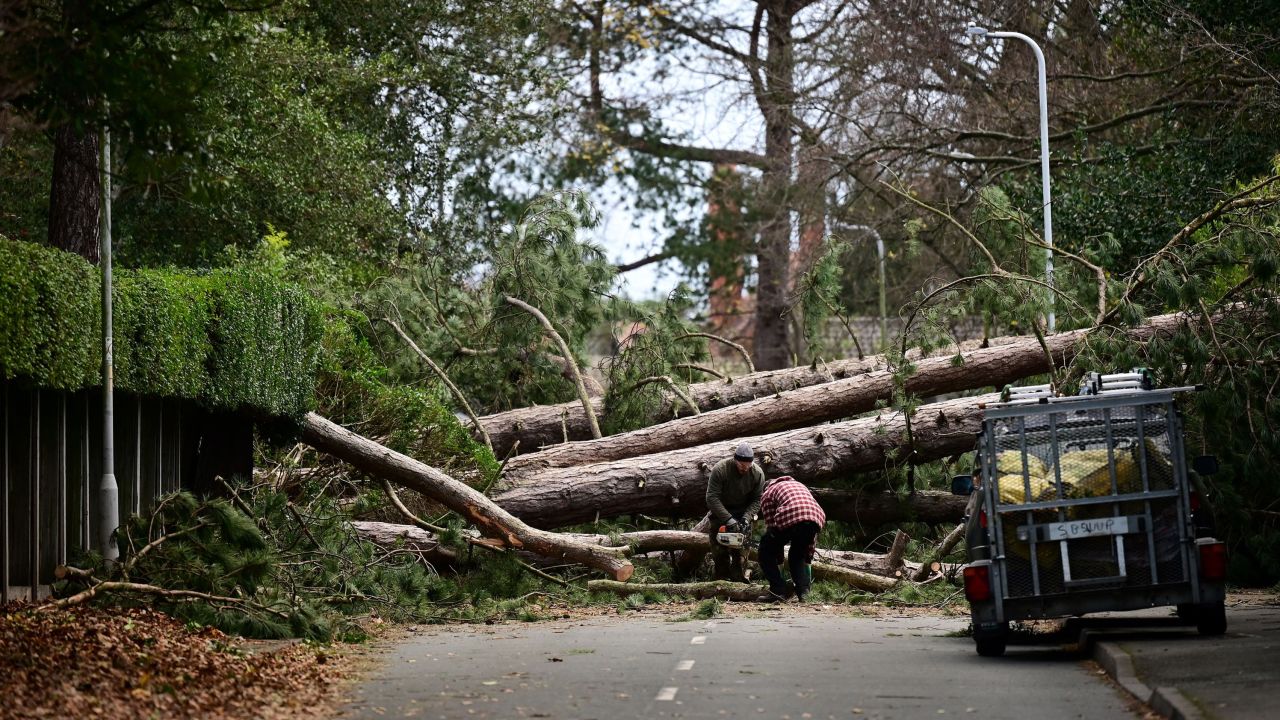 Residents clear branches from a fallen tree in Birkenhead, northwest England on November 27, as Storm Arwen triggered a rare red weather warning.