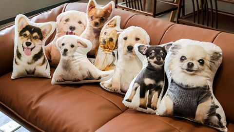 Custom pet pillow