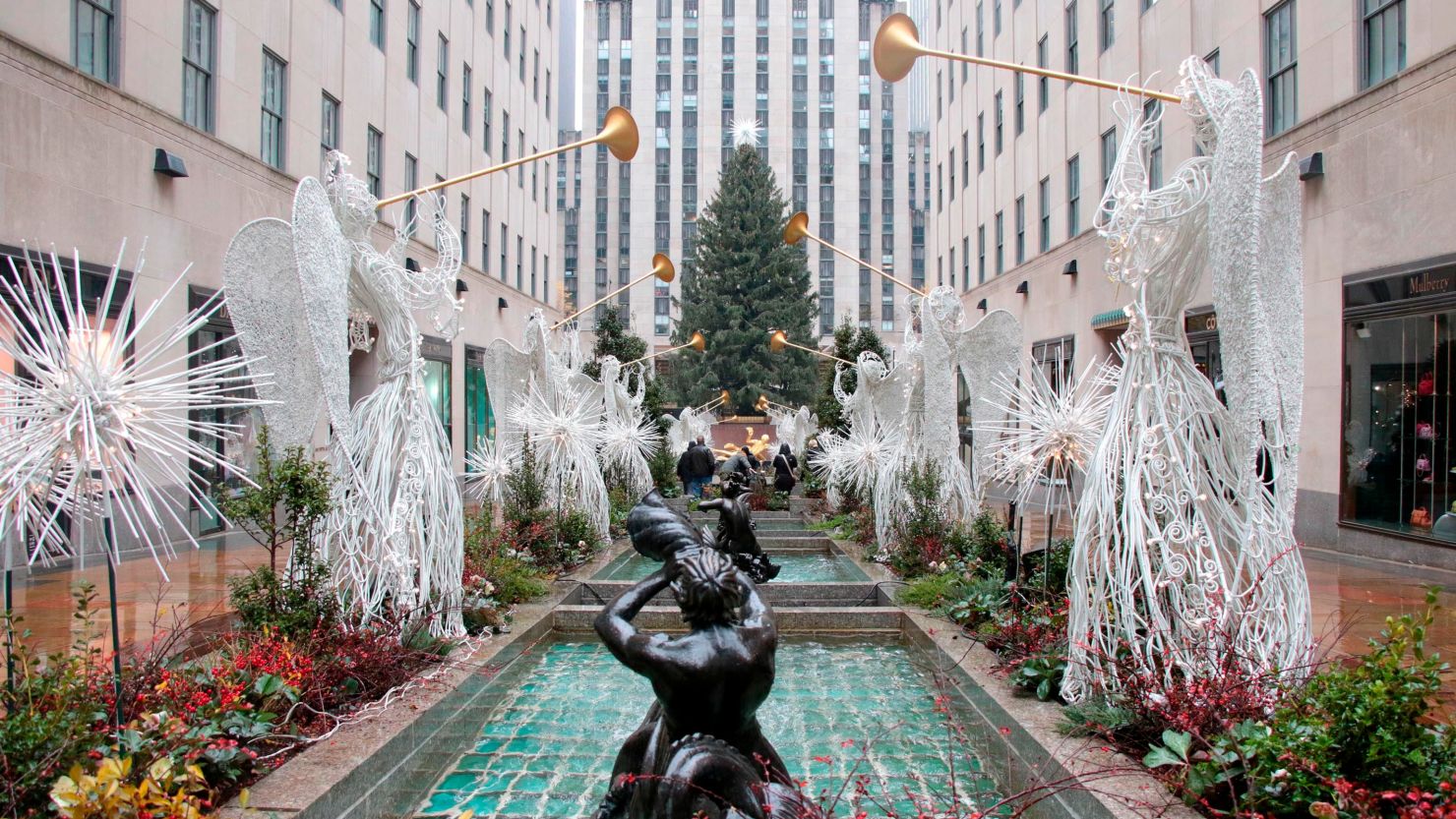 Christmas Tree Goes Up In Rockefeller Center ** STORY AVAILABLE, CONTACT SUPPLIER**  (Cover Images via AP Images)