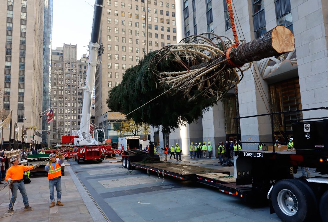 The 2021 tree is lifted off a truck after arriving at Rockefeller Center on November 13.