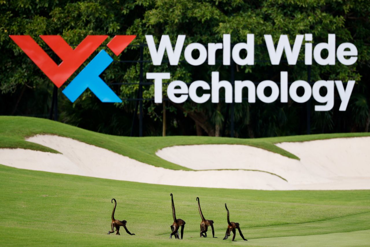 Monkeys are seen on the seventh fairway during the second round of the World Wide Technology Championship at Mayakoba on El Camaleon golf course in Playa del Carmen, Mexico in 2021.