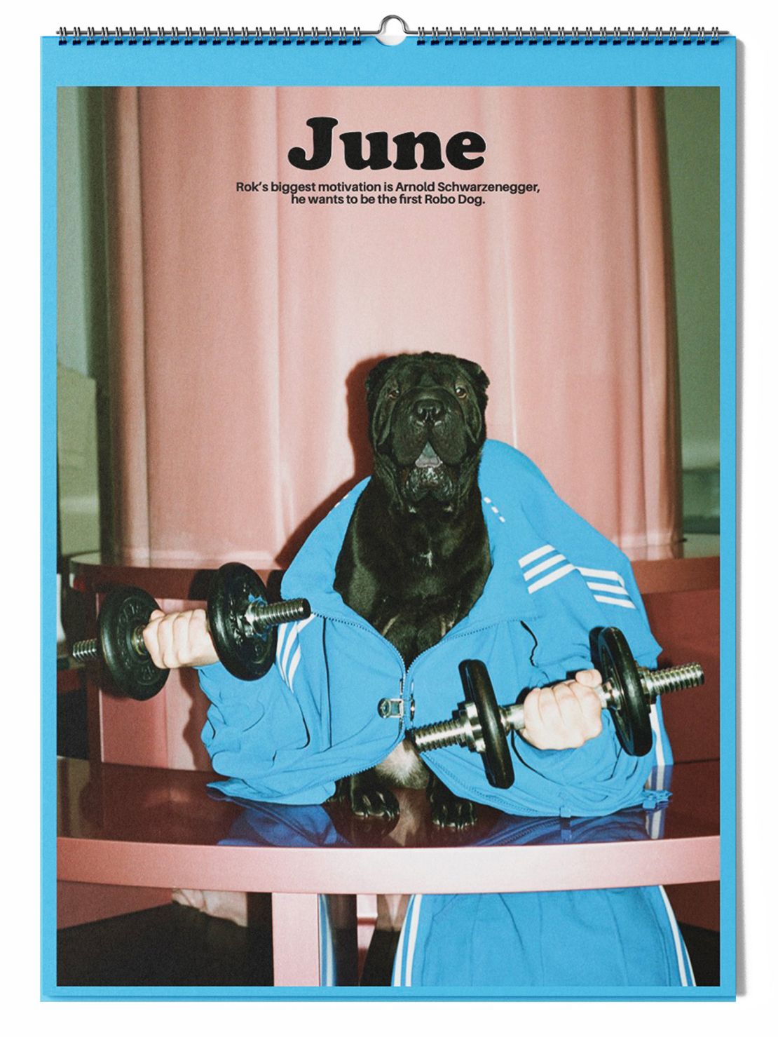 Daniel Gebhart de Koekkoek imagined the lifestyles of 12 dogs in a new calendar.