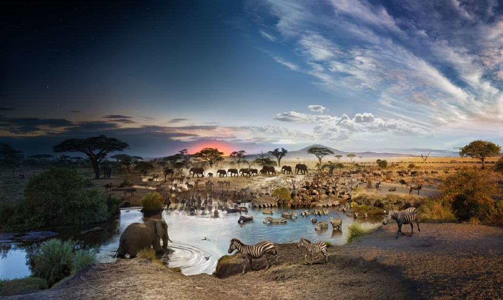 <strong>Stephen Wilkes - Serengeti Day to Night. </strong><br />For his project "Day to Night," Stephen Wilkes creates images of landscapes photographed from a fixed camera angle for up to 30 hours. Blending these images into a single photograph can take months. Pictured, is Serengeti National Park, Tanzania.<br />