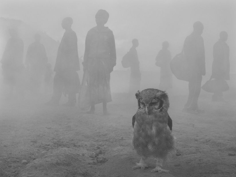 <strong>Nick Brandt - Harriet and people in fog, Zimbabwe, 2020. </strong><br />Harriet, a giant eagle owl, was rescued as a chick and has lived at Kuimba Shiri Bird Sanctuary in Zimbabwe for 35 years, according to photographer Nick Brandt. The fog was created by fog machines on location, as a "unifying visual." "We increasingly find ourselves in a kind of limbo, a natural world now fading from view," Brandt told Vital Impacts. "The fog is also an echo of the suffocating smoke from the wildfires, intensified by climate change, devastating so much of the planet." <br />