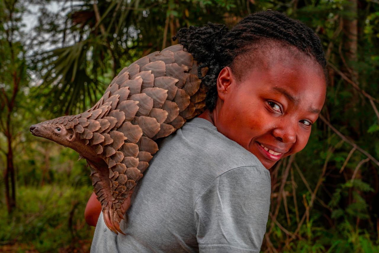 Mércia Ângela, a Mozambican wildlife veterinarian, is pictured here with Boogli, an infant female Cape pangolin she rescued. Ângela raised the baby pangolin and released her back into the wild a few weeks after this shot, selected for the "Conservation Heroes" category, was taken by German photographer Jennifer Guyton.