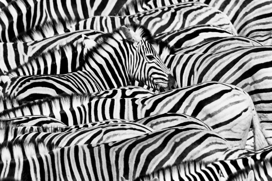 Ecuadoran photographer Lucas Bustamante captured this image of zebra packed closely together at a waterhole in Etosha National Park, Namibia.